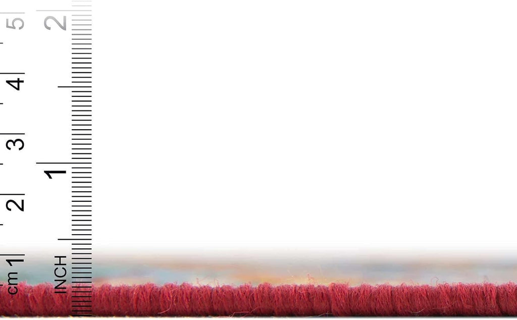 Modern Multi Burgundy Outdoor Tamarindo Runner Rug